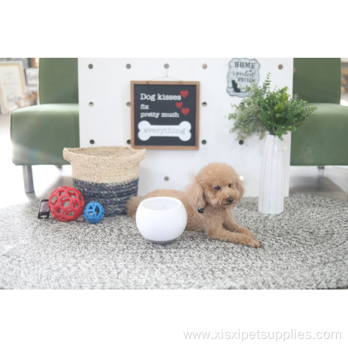 Slow Down Eating Large Capacity Pet Bowl